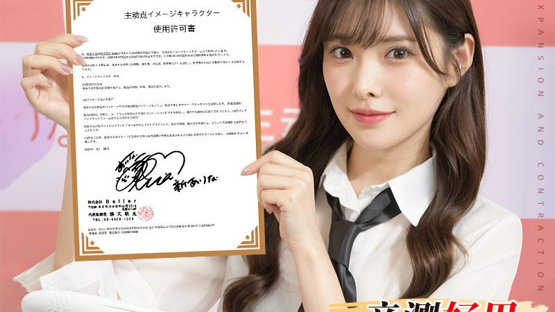 深入解析：SaaS平台API接口参数全揭秘