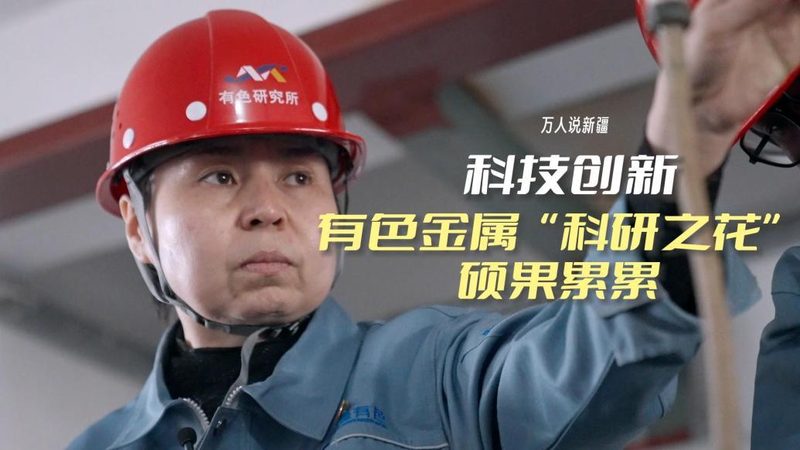 数据安全合规：企业IT决策者的关键考量